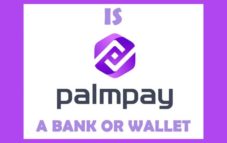 Is PalmPay a Bank or Wallet