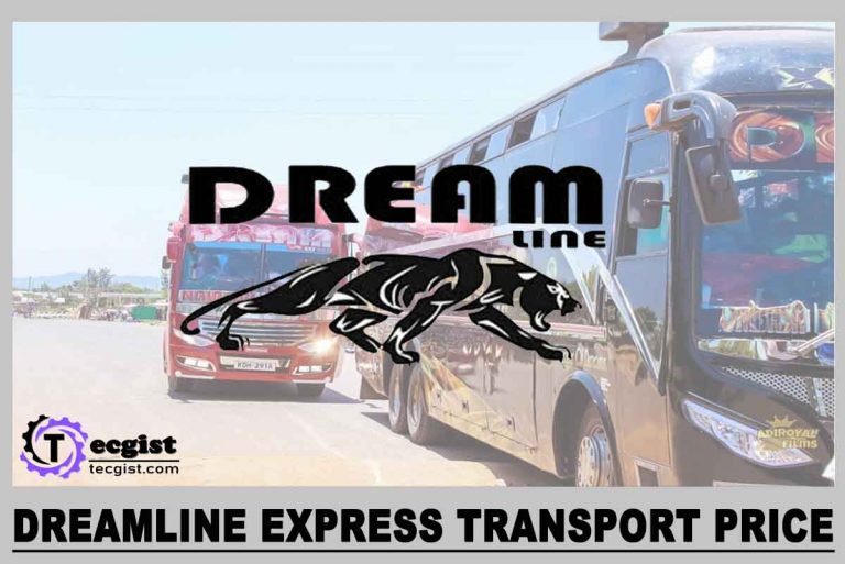 Dreamline Express Ticket Price