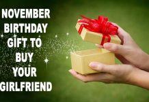 November Birthday Gift to Buy Your Girlfriend 2023