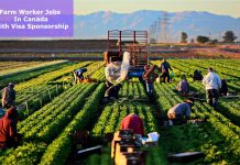 Farm worker Jobs in Canada with Free Visa Sponsorship