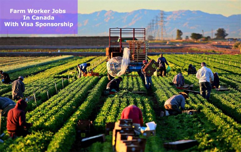 Farm worker Jobs in Canada with Free Visa Sponsorship – APPLY NOW