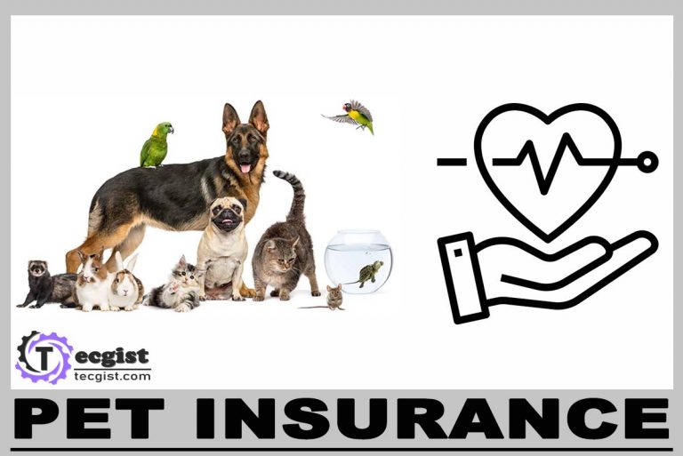 Pet Insurance