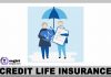 Credit Life Insurance: What It Covers and Don’t Credit Life Insurance
