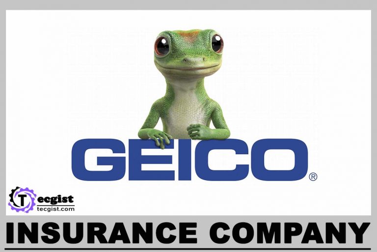 Geico Insurance