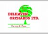 Job Openings at Delhaven Orchards Ltd.