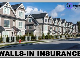 Walls-In Insurance