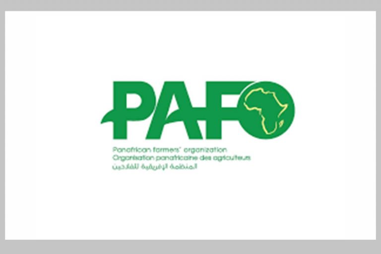 Job Openings at Pan-African Organization