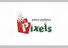 Job Openings at Pixels Digital Systems Limited