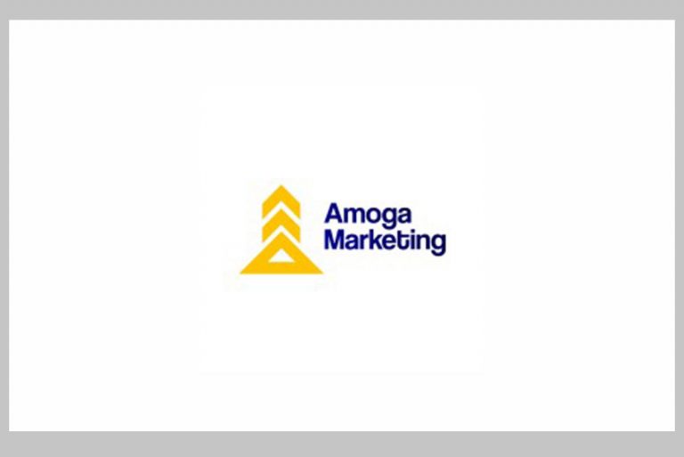 Job Openings at Amoga Media 