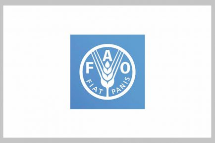 Job Openings at FAO