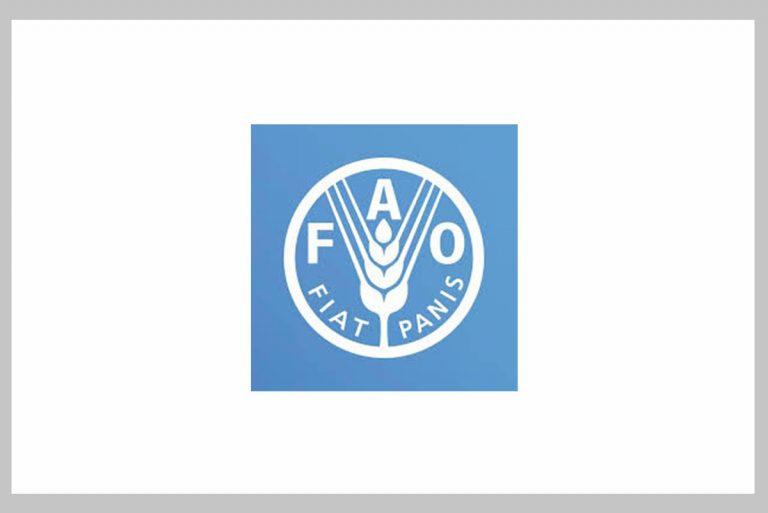 Job Openings at FAO