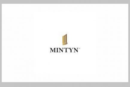 Job Openings at Mintyn Digital Bank
