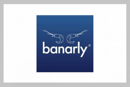 Job Openings at Banarly Nigeria Ltd