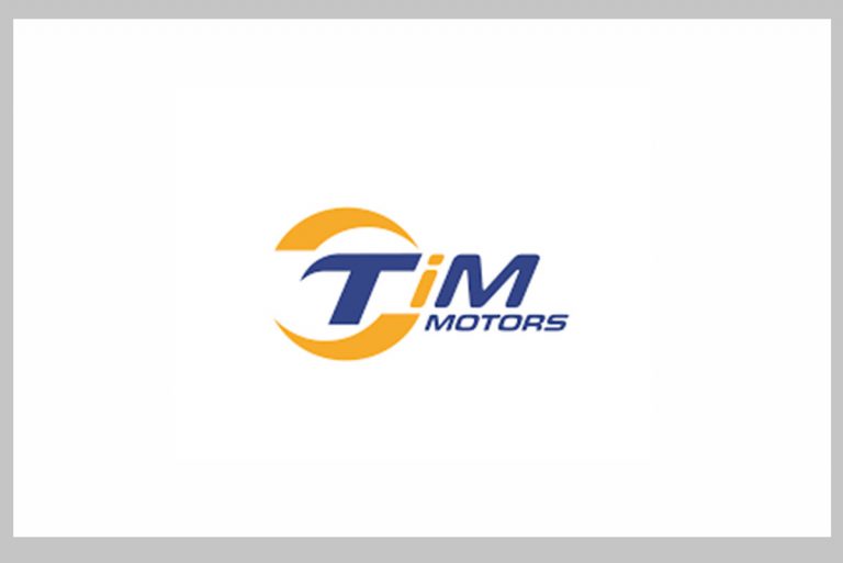 Translator-Chinese at TIM Motors