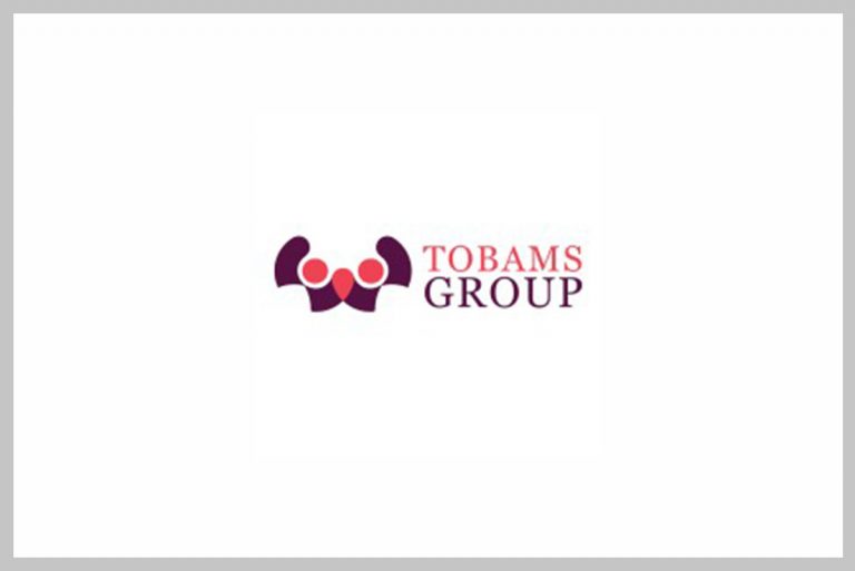 WordPress Developer Intern at Tobams Group